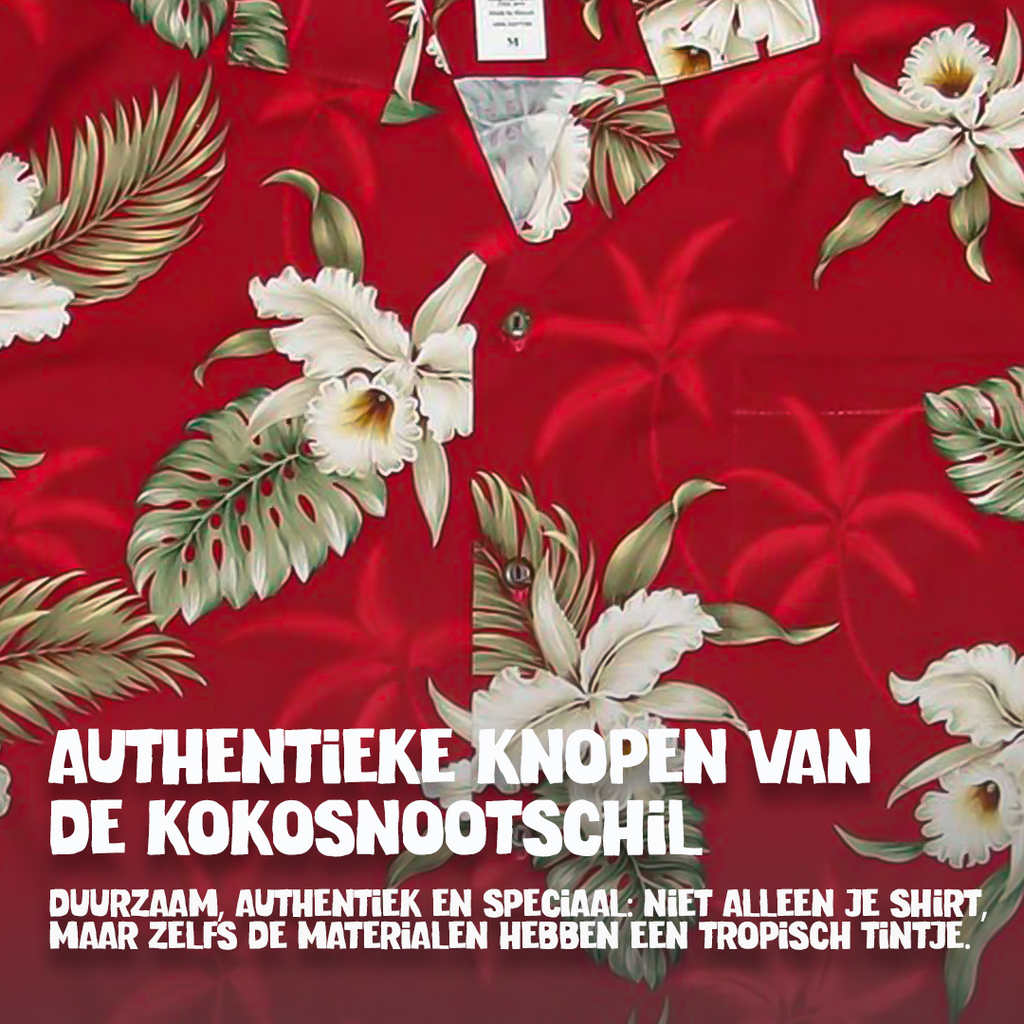 Hibiscus Rood