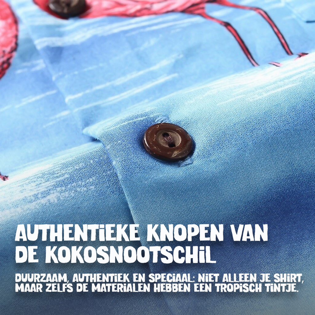 Flamingo in het Water