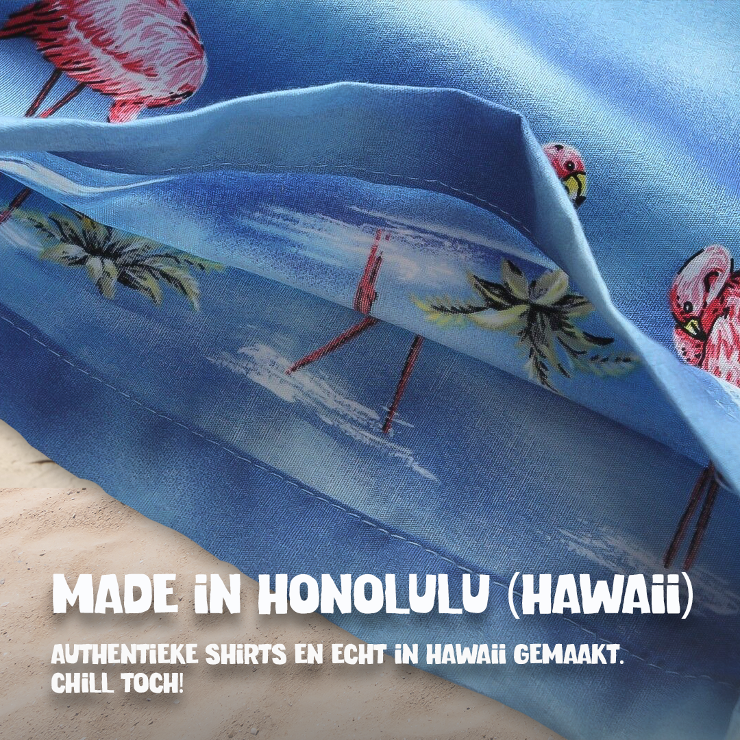 Flamingo in het Water