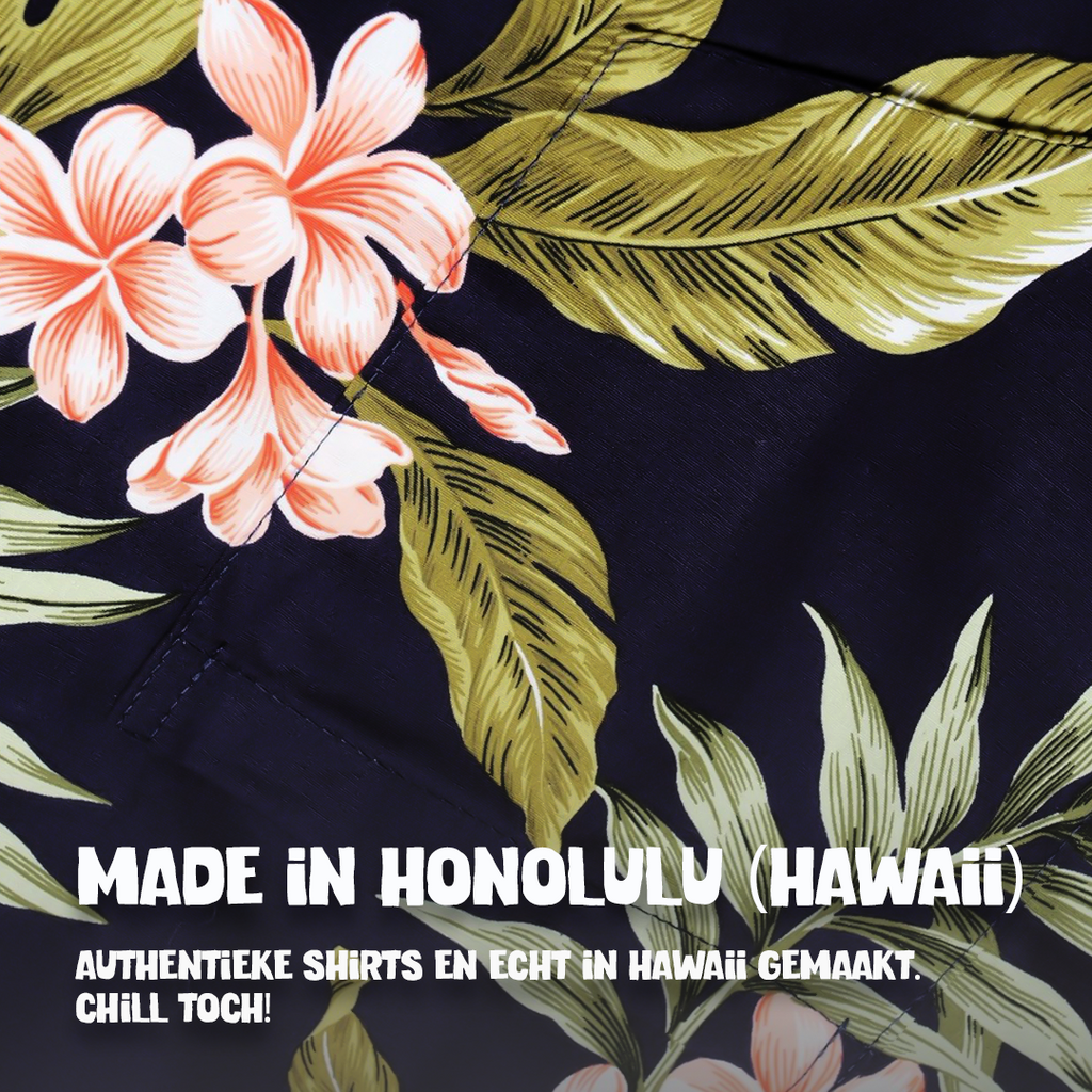 Hibiscus Blauw