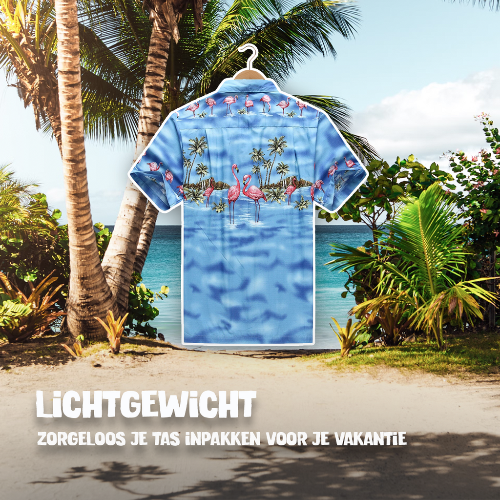 Flamingo in het Water