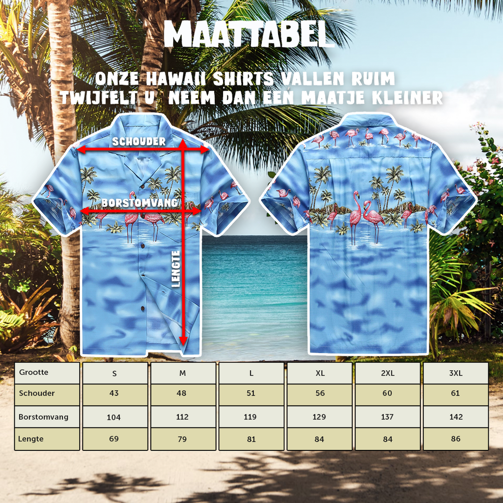 Flamingo in het Water